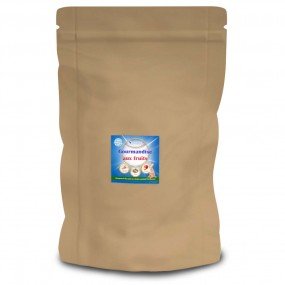 Friandise aux fruits pour le chien sportif - 1kg